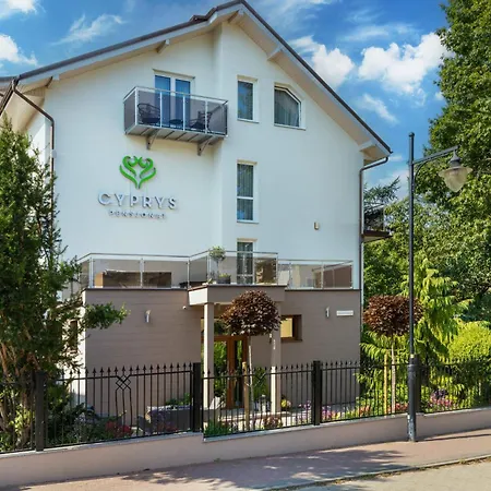 Cyprys Jastrzębia Góra