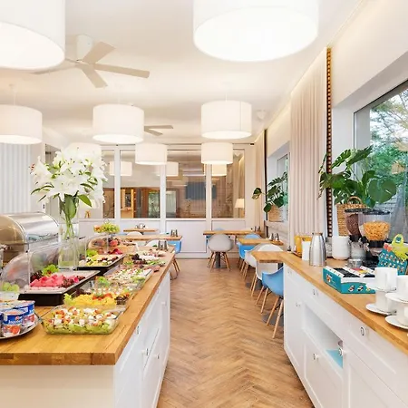 Cyprys Jastrzębia Góra