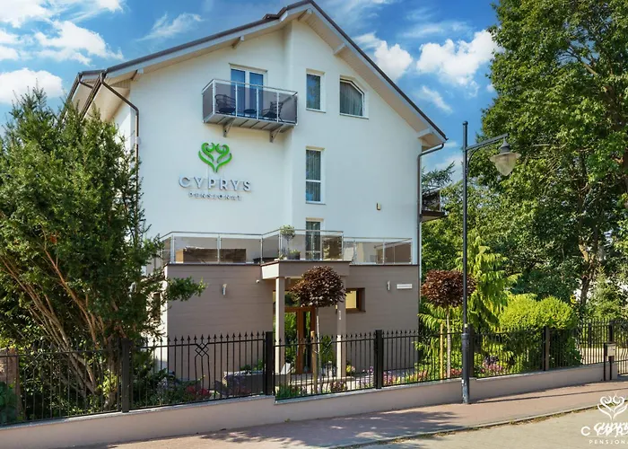 Cyprys Jastrzębia Góra