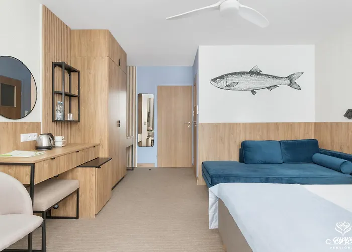 Cyprys Jastrzębia Góra