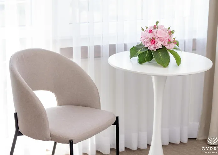 住宿加早餐酒店 Cyprys Jastrzębia Góra