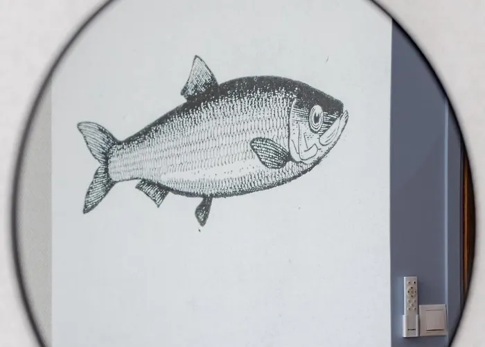 Cyprys 4* Jastrzębia Góra