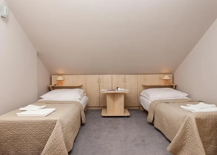 Cyprys Jastrzębia Góra