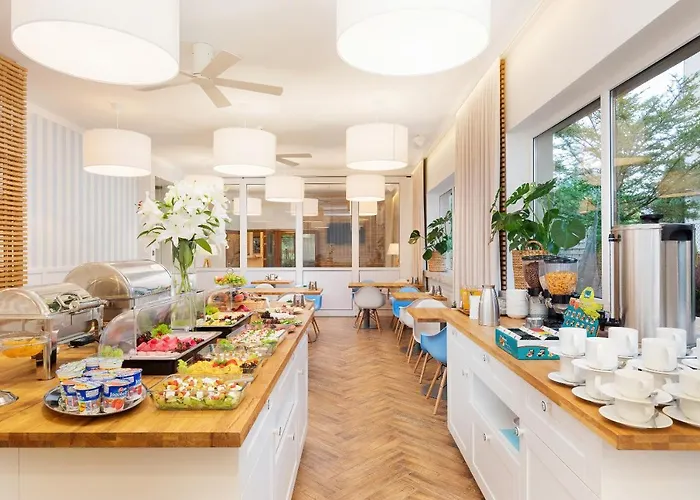 Cyprys Jastrzębia Góra