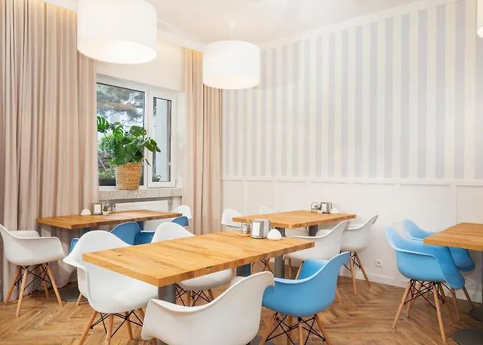 Cyprys Jastrzębia Góra