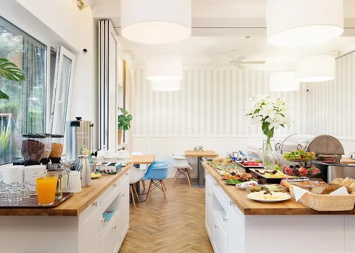 Cyprys Jastrzębia Góra